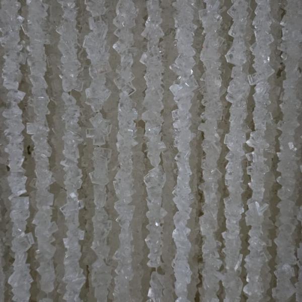 عرضه نبات شاخه به بازار با بهترین قیمت | خرید عمده نبات شاخه‌ای با کیفیت صادراتی از نبات حکیم